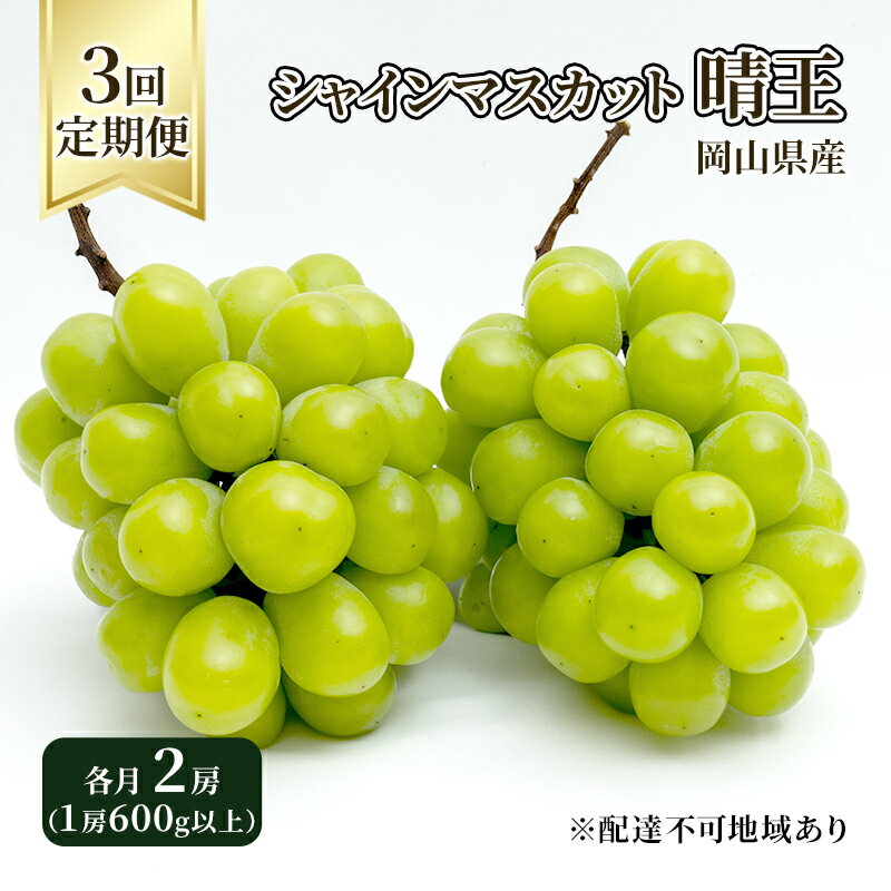 【ふるさと納税】ぶどう 定期便 2026年 先行予約 シャイン マスカット 晴王 各月2房（1房600g以上） 3回コース マスカット ブドウ 葡萄 岡山県産 国産 フルーツ 果物 ギフト 大粒 高級 甘い 弾力 　お届け：2026年8月下旬〜2026年10月下旬