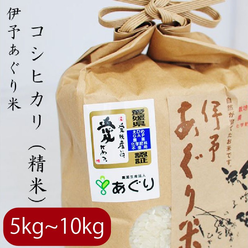 
            【選べるキロ数】米 精米 5～10kg 伊予あぐり米「コシヒカリ」 令和7年産 米 農薬・化学肥料不使用 米 精米 令和7年産 米 お米 こめ 農薬・化学肥料不使用 こだわりのお米 愛媛県 松前町 松前 まさき 愛媛 えひめ おこめ 有限会社あぐり 愛媛県産米 松前町産米 美味しいお米 おにぎり  お米 贈答 贈り物 愛媛県 松前町 有限会社あぐり　 松前町おすすめ
          