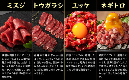 馬肉 フジチクオリジナル 希少部位 と 贅沢な ふじ馬刺し 厳選 セット 道の駅竜北  熊本県 氷川町 肉 馬肉 メン 大トロ 中トロ ヒレ シャトーブリアン ロース ランプ 上赤身 ふじ馬刺し セッ