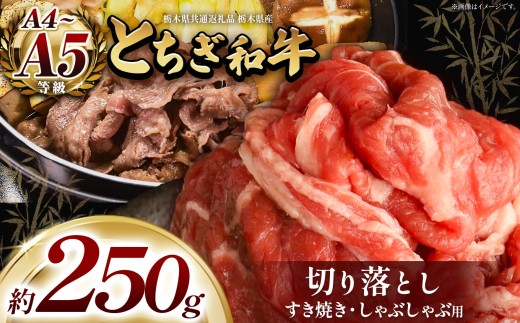 訳あり とちぎ和牛 すき焼き・しゃぶしゃぶ用 切り落とし 250g | 栃木県共通返礼品 ご褒美 プレゼント 贈答 おいしい 和牛 肉 おにく 特別 人気 お取り寄せ 栃木県 真岡市
