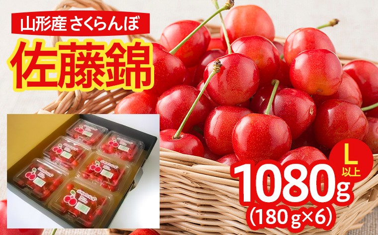 
                  山形産 さくらんぼ 佐藤錦 L以上 1080g(180g×6パック入) 【令和9年産先行予約】FS25-639 くだもの 果物 フルーツ 山形 山形県 山形市 2026年産
                