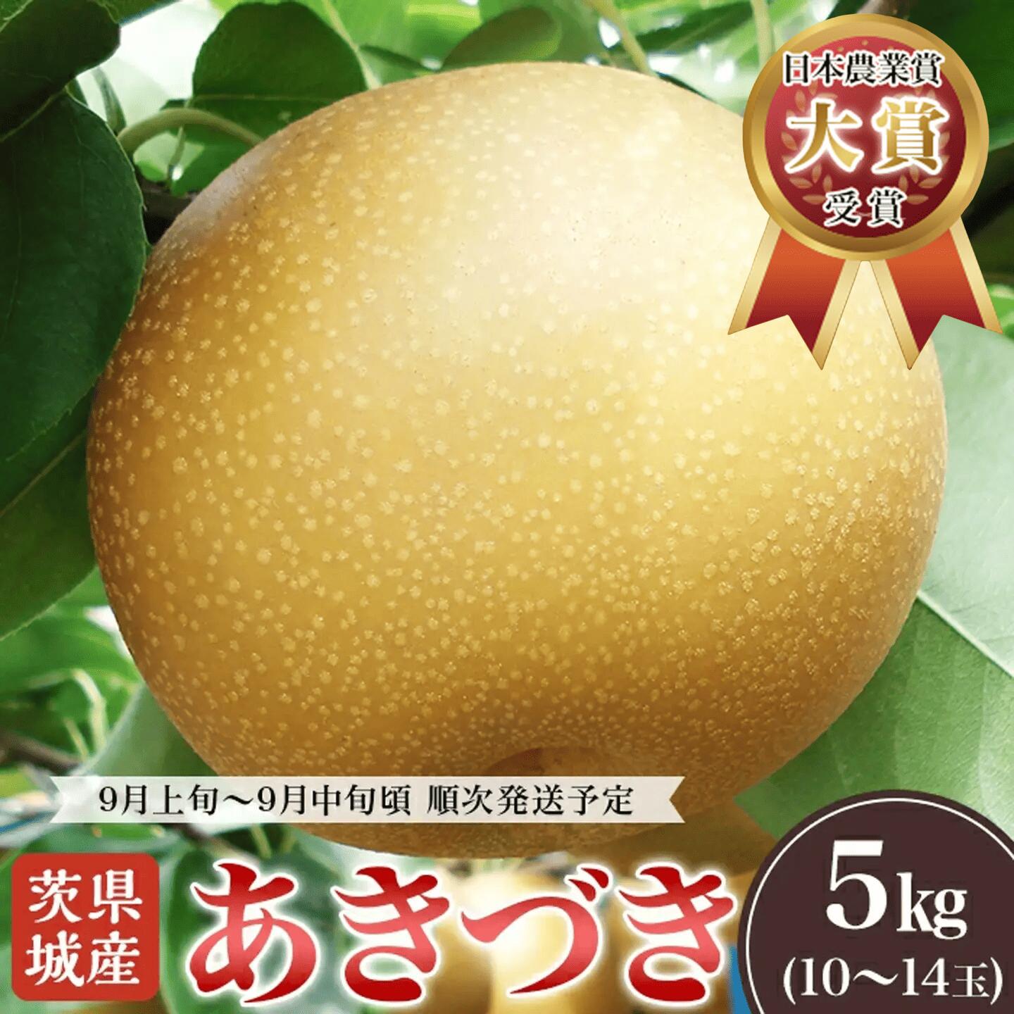 【ふるさと納税】あきづき梨 約5kg 2026年先行予約 梨 果物 くだもの フルーツ 国産 季節限定 人気 贈り物 お取り寄せ デザート 2026年先行予約 茨城県産「あきづき」約5kg【2026年9月上旬～9月中旬にかけて発送予定】