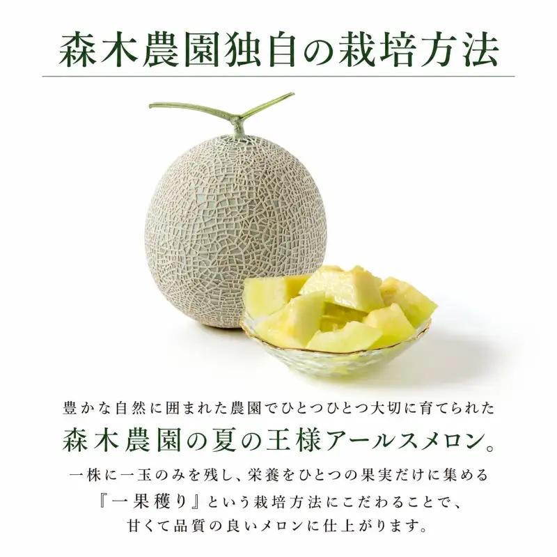 【5口限定・予約受付】アールスメロン メロン 2玉 1.4kg 以上【森木農園】