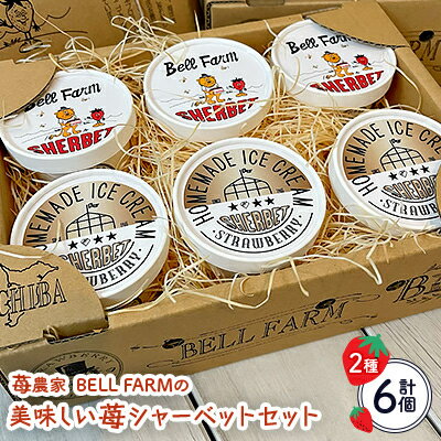 【ふるさと納税】農家直送!BELL FARMの美味しい苺シャーベット　2種×3　6個セット【配送不可地域：離島】【1384266】