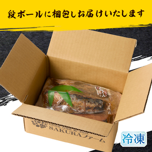 a10-870　焼津！大葉 にんにく かつお たたき 5本 セット