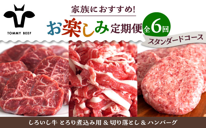 【牧場直送】【6回定期便】しろいし牛 家族向け お楽しみ 定期便（スタンダードコース）【有限会社佐賀セントラル牧場】牛肉 [IAH210]