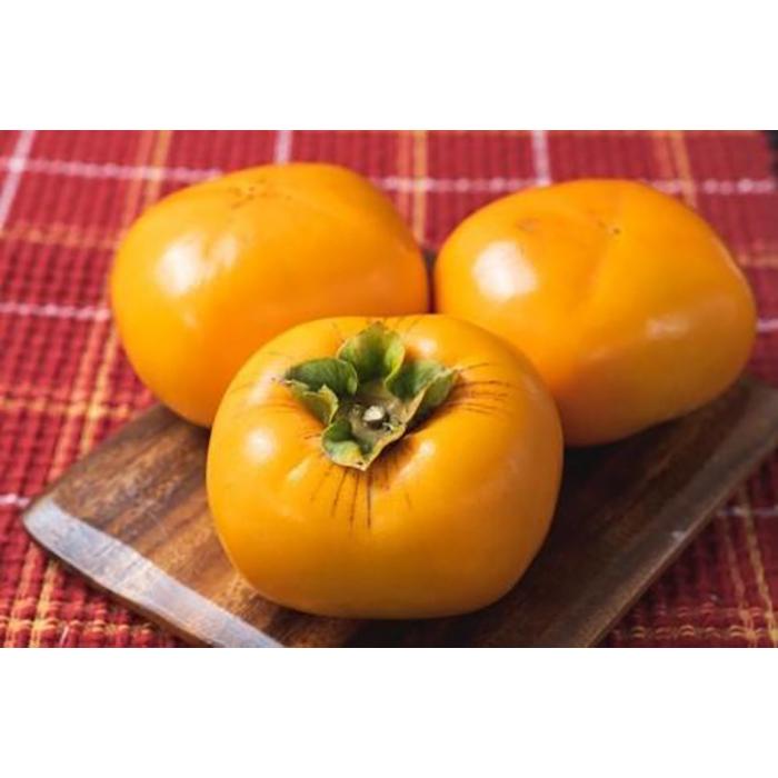 生渋柿たね無 あんぽ柿用T軸枝無約1.5～2kg　6～12玉＜2025年10月中旬～11月上旬ごろ順次発送＞【ART14】　XL11_イメージ3