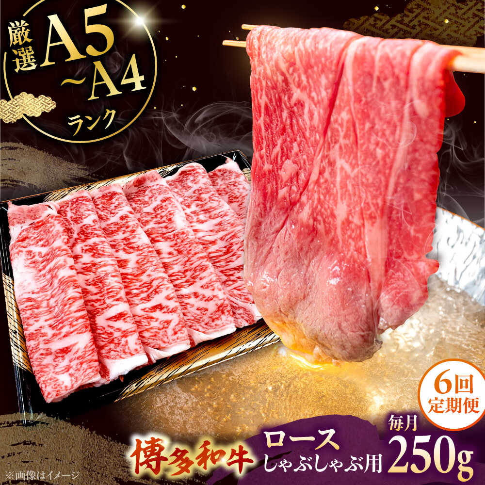 【ふるさと納税】【全6回定期便】【数量限定 博多和牛】ロース しゃぶしゃぶ用 250g ▼ 牛肉 博多 和牛 極上 バーベキュー ブランド 国産 高級 特別 上質 桂川町/株式会社チクゼンヤ[ADBZ043] 70000 以下 70000円 以下 7万円 以下