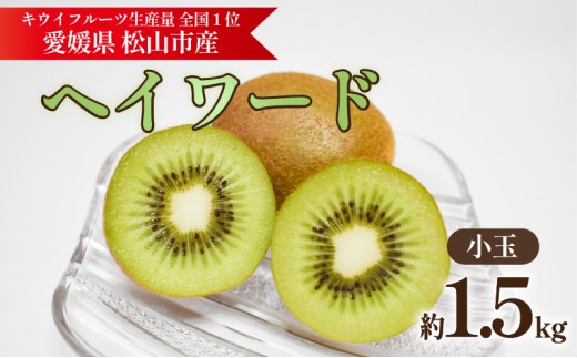 キウイフルーツ ヘイワード 【小玉】 約1.5kg 【2026年11月上旬頃から順次発送】 |  キウイ グリーンキウイ ヘイワード キウイフルーツ フルーツ 果物 きうい くだもの デザート 産地直送 数量限定 国産 送料無料 愛媛県 松山市