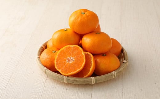 長崎県産 温州みかん 約10kg ( 5kg × 2箱 ) 個数・サイズ おまかせ ／ フルーツ 果物 くだもの 果実 ミカン 蜜柑 柑橘 長崎県 長崎市 川口農園 アフター保証 【2025年10月上旬～2026年1月下旬迄発送予定】