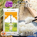 【ふるさと納税】北海道 定期便 12ヵ月 連続 全12回 R6年産 北海道産 ななつぼし 10kg 精米 米 ごはん お米 新米 特A 北海道米 ブランド米 道産 ご飯 お取り寄せ 1年 まとめ買い 新しのつ米 令和6年産 常温　定期便　お届け：2025年1月中旬～下旬より発送