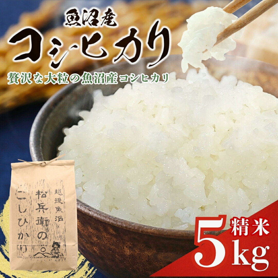 【ふるさと納税】米 コシヒカリ 白米 令和7年産 魚沼産コシヒカリ 精米 5kg×1袋 越後魚沼 松兵衛のこしひかり 従来品種 山口松兵衛農園 | 新潟県産コシヒカリ お米 こしひかり 精米 魚沼 魚沼産 ブランド米