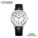 【ふるさと納税】【CITIZEN】 シチズンコレクション BJ6541-15A 腕時計 防水 光発電 エコ・ドライブ カーフ革 クリスタルガラス メーカー保証 メンズ レディース 新潟県 妙高市