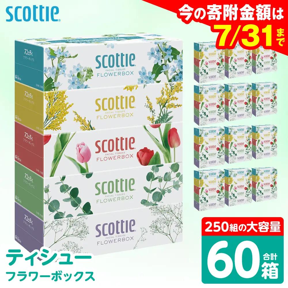 スコッティ ティッシュ 250組 60箱 ティシュー