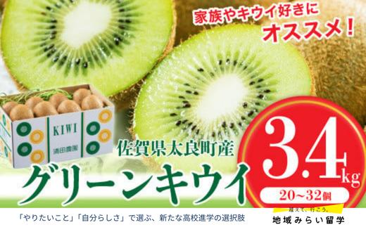 
            【佐賀県太良産】浦田農園『グリーンキウイ』3.4kg(20〜32個)
          