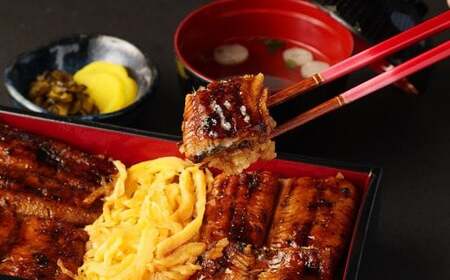 上鰻せいろ蒸し弁当 (640g×2個) 鰻 うなぎ せいろ蒸し 国産