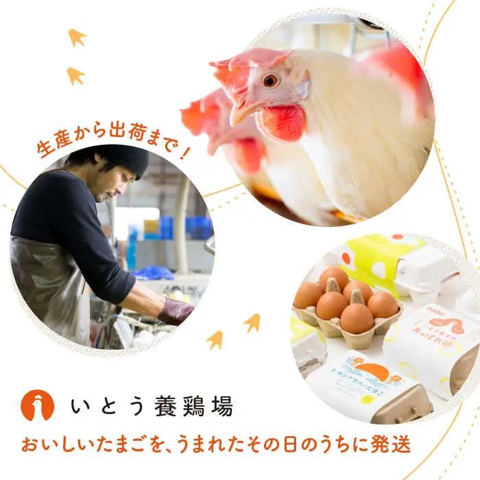 プリン 6個 /いとう養鶏場 [UAQ008] プリン