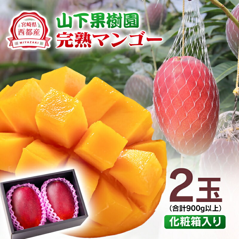 【ふるさと納税】山下果樹園 完熟マンゴー「2玉」 900g以上 宮崎県 西都産 化粧箱＜1.8-17＞令和8年収穫分 先行予約