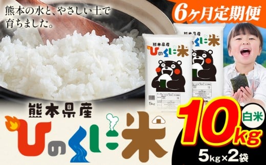 【6ヶ月定期便】 白米 ひのくに米 10kg 《お申込み翌月から出荷》 食品 米 こめ コメ 熊本県産 ふるさと納税 お米 おこめ 熊本