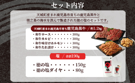鹿児島 黒牛 焼肉 セット（ 4種 盛り ） 計約1.2kg 徳の塩 ・ ダイヤ セット 計約230g 総計約1.43kg 【セット】 天城町産 鹿児島育ち 黒毛和牛 和牛ロース 和牛カルビ 国産 鹿