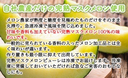 ピューレ メロンピューレ バニラアイスクリーム 3個セット【テレビで紹介 メロン農家が作ったメロンピューレ ピューレ アイスセット 完熟マスクメロン100％】  tn-0028