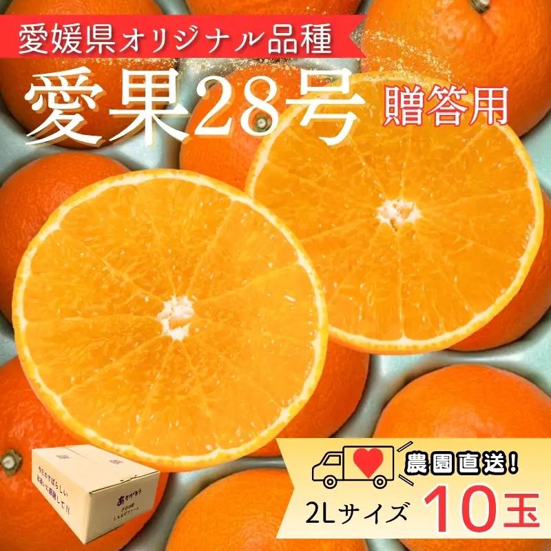 【2026年11月中旬より順次発送】愛果28号 2Lサイズ 10玉 贈答用｜B532