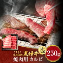 【ふるさと納税】くまもと黒毛和牛 黒樺牛 A4～A5等級 焼肉用カルビ 合計250g 牛肉 牛 霜降り 赤身 お肉 焼き肉 BBQ 黒毛和牛 国産 九州産 熊本県産 冷凍 送料無料