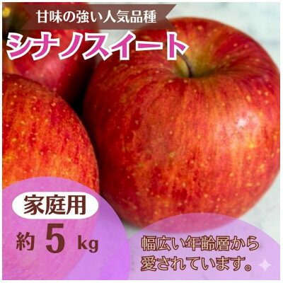 【ふるさと納税】シナノスイート 約5kg 家庭用【1739134】