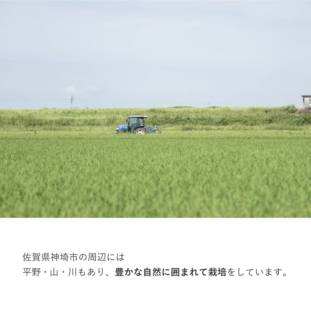 九州産えごま油 3g×25パック【えこびと 農園 九州産 国産 無添加 生搾り 栽培期間中無農薬 自社製造 えごま αリノレン酸】(H037123)