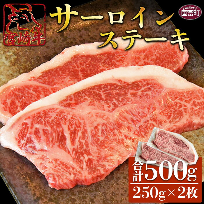 【ふるさと納税】＜宮崎牛 サーロインステーキ 250g×2枚＞※入金確認後、翌月末迄に順次出荷します。牛肉 和牛 黒毛和牛 ステーキ用 真空パック 霜降り 国産 グルメ お祝い 内祝い 特産品 無くなり次第終了 送料無料 宮崎県 国富町 0332_ty【冷凍】
