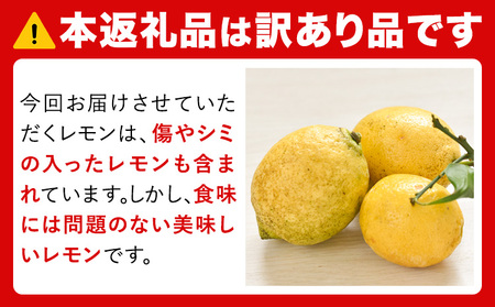 レモン 訳あり 5kg マルセイ株式会社《11月上旬-1月末頃出荷》