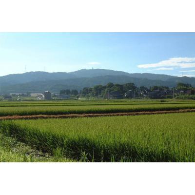 ふるさと納税 宝達志水町 米 ひゃくまん穀「弘宝米」 精米 5kg [中西農場 石川県 宝達志水町 38601276] |  | 03