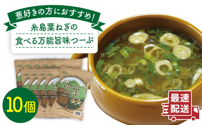
糸島 葉ねぎ の 食べる 万能 旨味つーぷ 10個 《糸島》 【Carna】 [ALA019]
