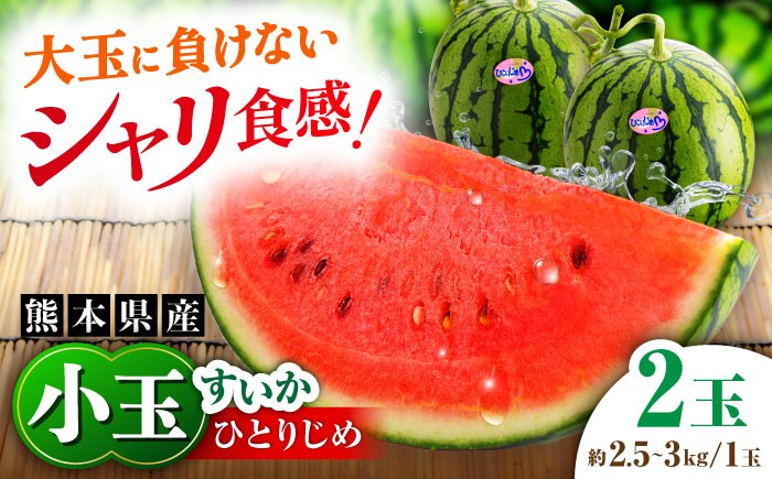 
                  【先行予約】【2027年4月中旬より順次発送】【数量限定】小玉すいか 2玉入（1玉 約2.5～3kg） スイカ 小玉 西瓜 スイカ 果物 フルーツ くだもの 熊本 特産品 suika 【一般社団法人クラッシーノこうし】 [AYAB056]
                