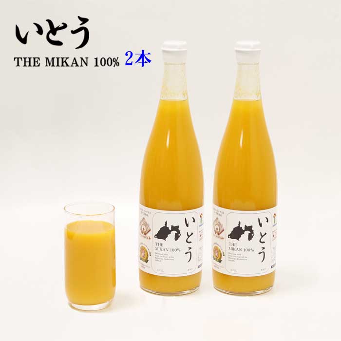 G3*【ふるさと納税】【定期便 全3回】いとう THE MIKAN 100% 2本セット 半年に3回発送