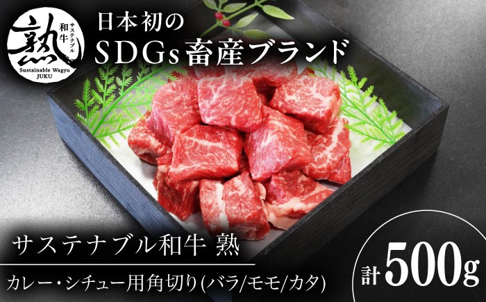 
            サステナブル和牛 熟 角切り カレー・シチュー用（モモ/カタ/バラ） 500g  | 牛肉 和牛 熟成 角切り カレー 島根県雲南市/株式会社熟豊ファーム [AIAT017]
          