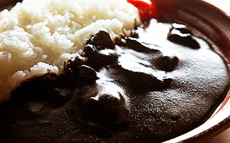 いかすみカレー（180g 5箱） / レトルトカレー お手軽カレー / 佐賀県 / 河太郎呼子店[41ABAE003]