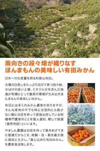 こだわりの 有田 みかん 8kg＋150g(傷み補償分) 【ご家庭用】※北海道・沖縄・離島配送不可 ※2026年11月発送予定 【nuk004-c-8-novH】 