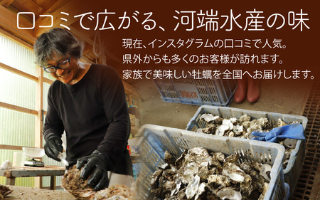 奥能登 河端水産の岩牡蠣【むき身・加熱用】約500g ～鮮度抜群 とれたてをお届け～ / 魚介類 魚貝類 貝 海の幸 海のミルク オイスター 海鮮 国産 穴水町 奥能登 能登半島 旬 かき カキ