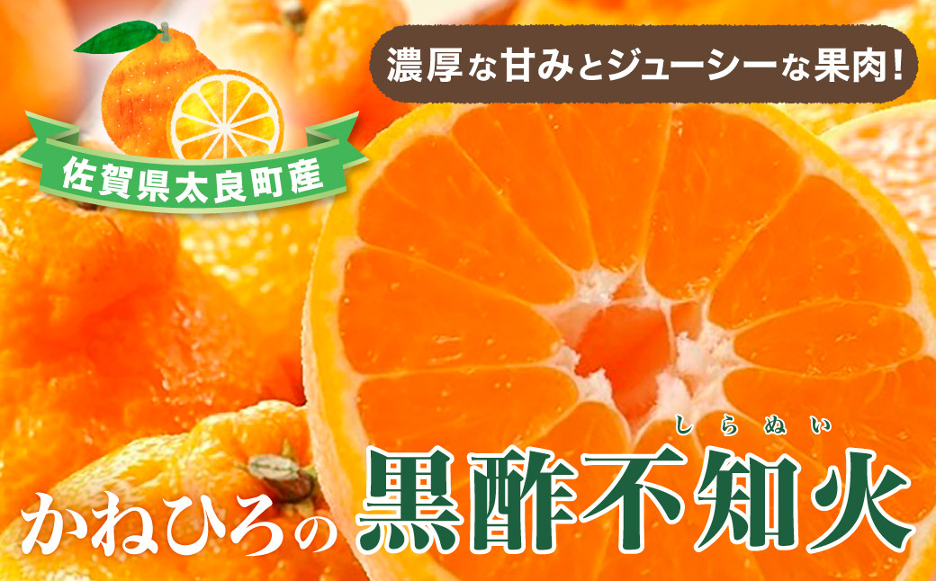 
            【令和7年3月下旬頃～発送】かねひろの黒酢不知火 フルーツ 果物 柑橘 しらぬい 黒酢 みかん ミカン 蜜柑 黒酢みかん 黒酢アミノ酸 不知火みかん デコポン でこぽん 温州みかん 完熟みかん 国産 佐賀県産 期間限定 有機栽培 佐賀県 太良町 ふるさとチョイス限定 NB23 
          