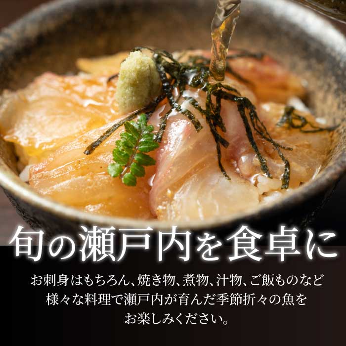 瀬戸内産 天然鯛 約2.5kg（500g×5匹/鱗・内臓処理）・鮮魚3～5種 詰め合わせ 地魚 鯛 天然鯛 真鯛 天然 鮮魚 下処理済 瀬戸内 広島県 三原市 154008