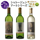 【ふるさと納税】 ワイン 白 各 750ml 2本 セット 選べる 組合せ シャトージュン アートシリーズ ミレー 白ワイン ソーヴィニヨンブラン 甲州 デラウェア等 飲み比べ 母の日 父の日 記念日 プレゼント ギフト 贈答 山梨 甲州市 (MG)