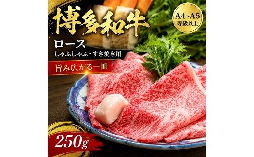 
                  【厳選部位】【A4～A5】博多和牛ロースしゃぶしゃぶすき焼き用 250g～1kg | 牛肉 ブランド牛 国産 和牛 福岡 博多 すき焼き しゃぶしゃぶ CP058
                