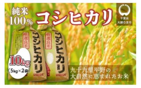 千葉県 大網白里市産 コシヒカリ 10kg（10kg×1袋） J001