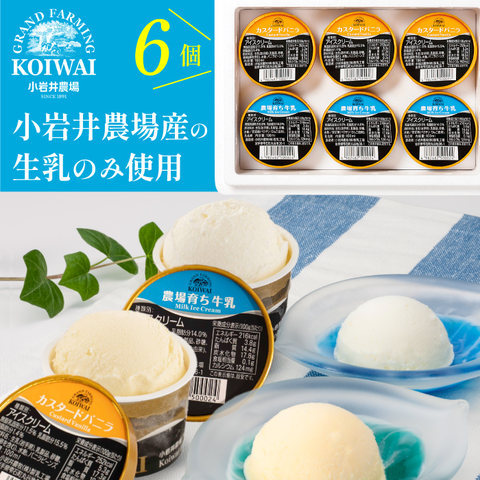 小岩井農場 アイスクリーム 6個セット ／ 2種類 食べ比べ アイス ギフト 贈答用