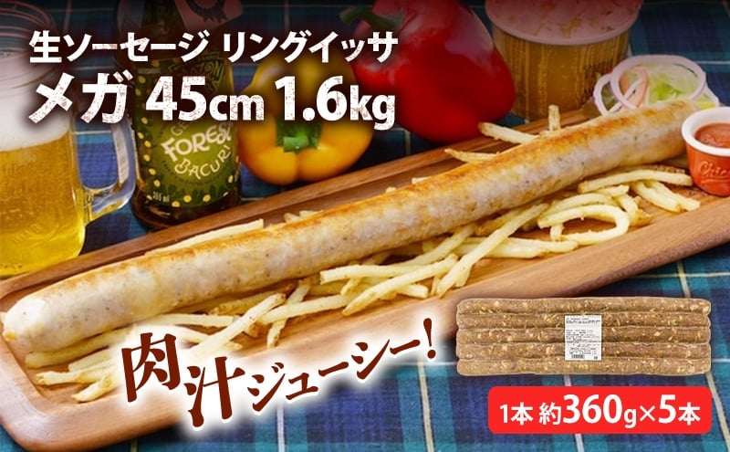 
リングイッサ メガ 45cm 1.6kg
