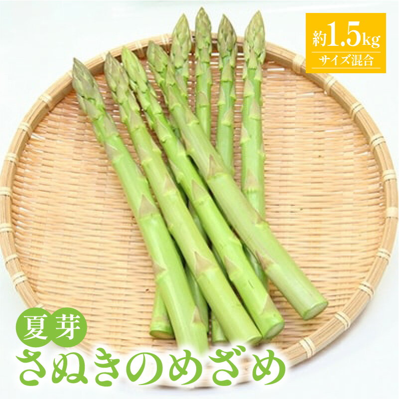 【ふるさと納税】さぬきのめざめ 夏芽 ( サイズ 混合 ) 約1.5kg アスパラガス【2026-5月上旬～2026-11月上旬配送】 | アスパラ 野菜 香川県 高松市オリジナル品種 甘い 柔らかい シャキシャキ 爽やか