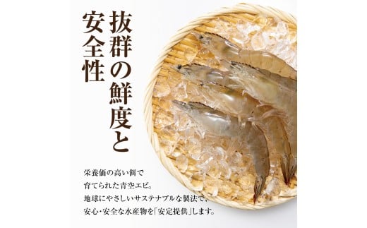 青空えび（和名：シロアシエビ）２パック入り / 海老 魚介類 冷凍 水産 食品 人気 おすすめ 送料無料【conn0001】