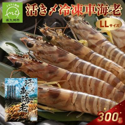 ふるさと納税 南九州市 活き〆冷凍車海老LLサイズ