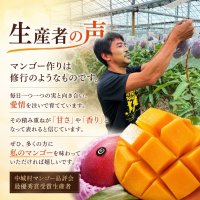 【2026年6月下旬から順次発送】マルトウマンゴーの贈答用アップルマンゴー2kg【配送不可地域：離島】